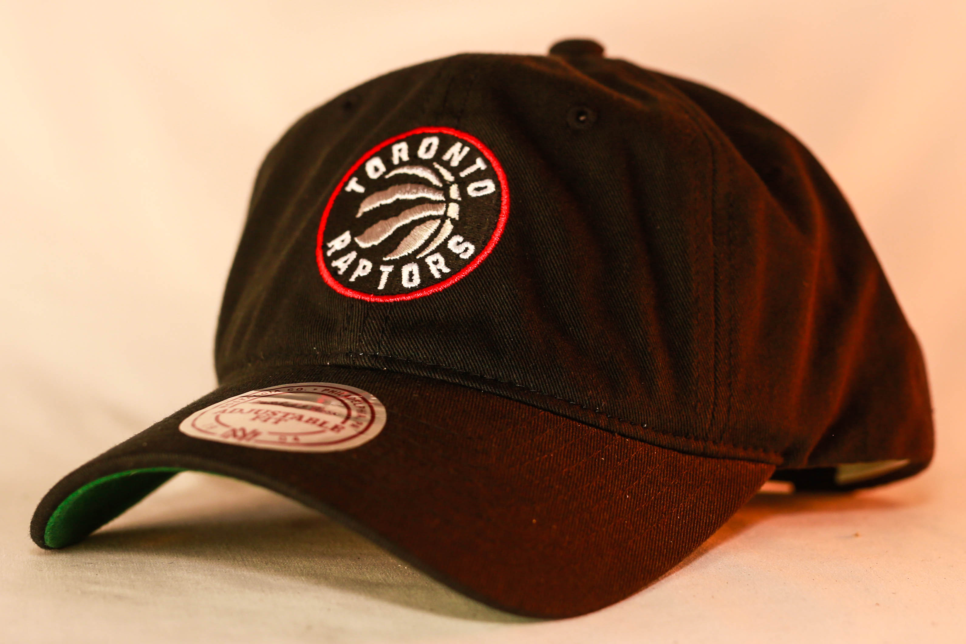 toronto raptors women's hat