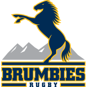 Brumbies