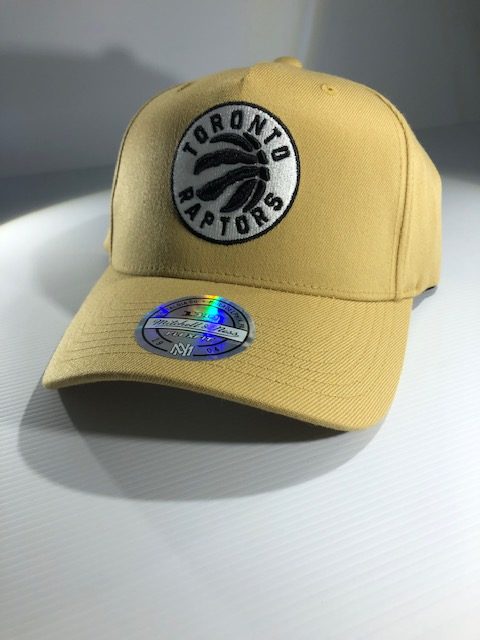 raptors womens hat